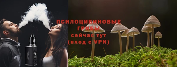 прущая мука Елабуга