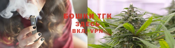 таблы Ельня