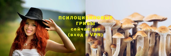 прущая мука Елабуга