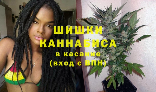 таблы Ельня