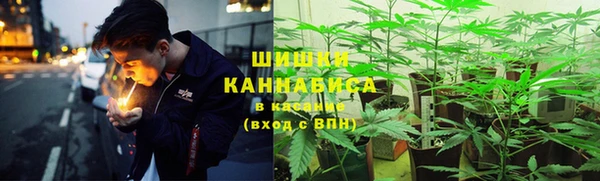 таблы Ельня